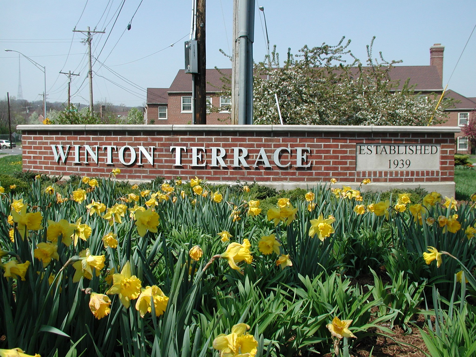 Winton Terrace brick sign surrounded by yellow flowers outside.